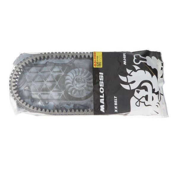 v-snaar malossi 974x24.9 euro 4/5 tricity 300