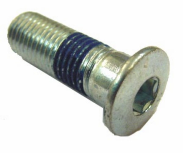bout remschijf m10x30 yamaha