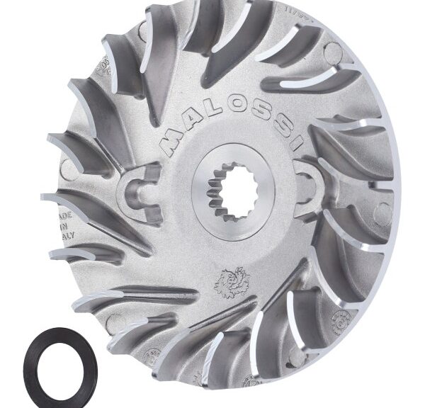 koelvin malossi vario Minarelli hor 100cc 106mm 6118780