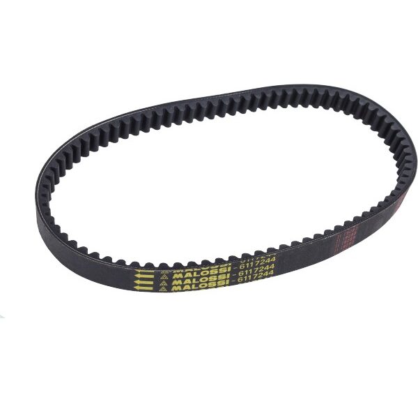 v-snaar malossi 902x25.5 X Special n-max 155 6117244