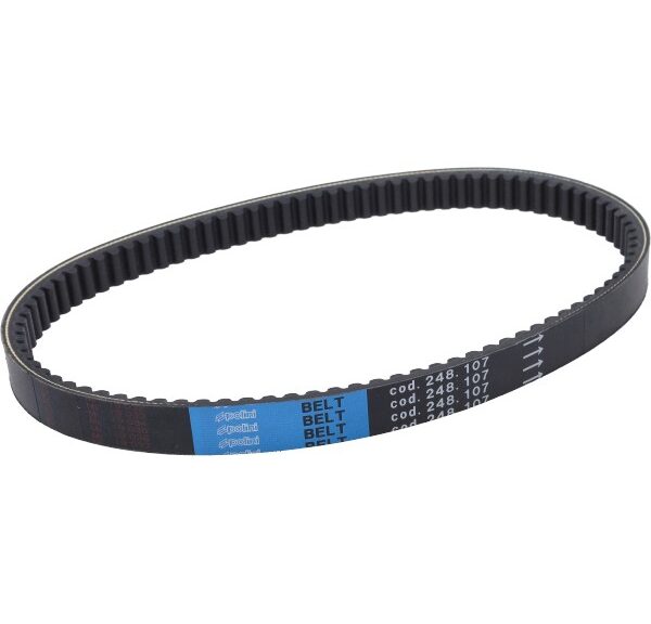 v-snaar polini kevlar 905x25 euro 3/4 n-max 155 248.107