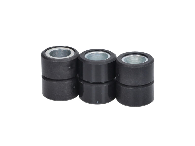 Variorolset Polini 10.1gr 20x12mm — geschikt voor Yamaha Nmax 155