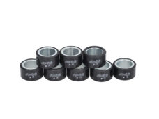 Polini variorolset 19g 25x15mm voor Yamaha T-Max 530 en T-Max 560