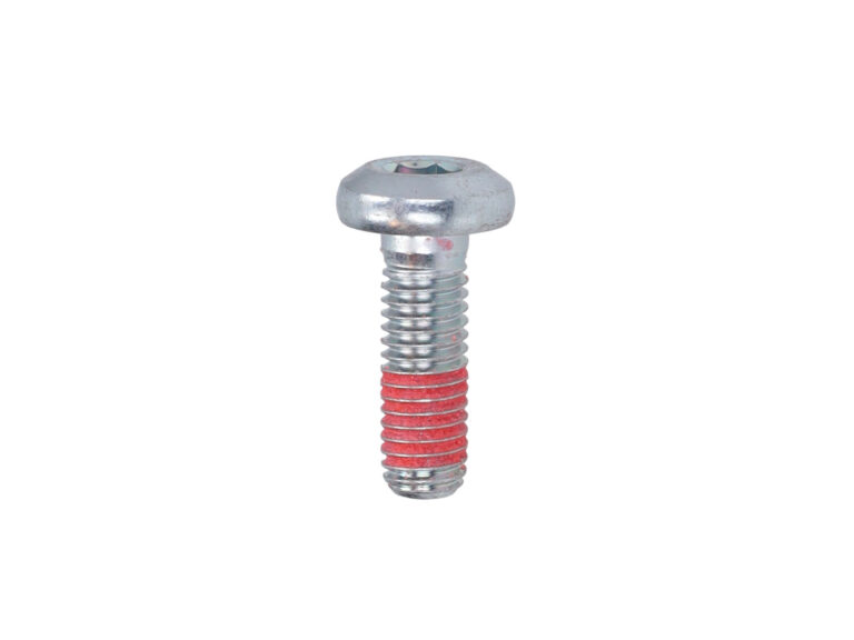 Bout Yamaha Origineel Remschijf Achterzijde Torx X-max 300 901110808700