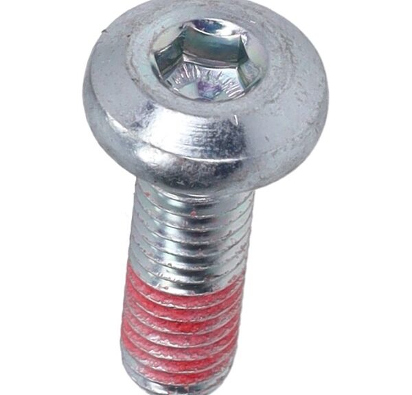 bout Yamaha origineel remschijf achterzijde torx x-max 300 901110808700