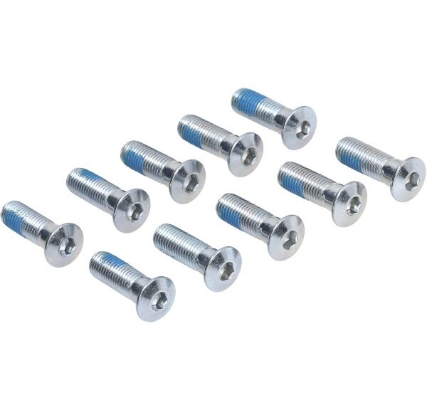 bout remschijf m10x30 10pcs aerox