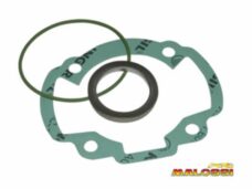 pakking topset malossi 47mm dj