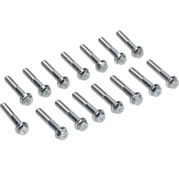 boutset malossi carter m6x35mm 15pcs sco piaggio 1920253