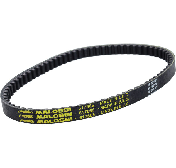 V-snaar Malossi kevlar 724x17.5 et2