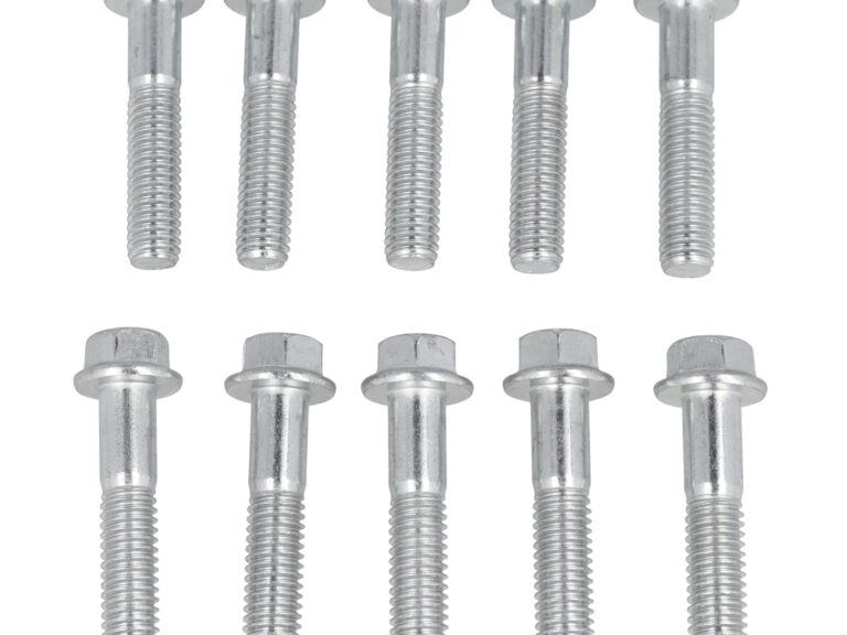 Boutset carter 10 stuks GTS alle mod.
