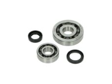 Lager+keerringset DMP krukas /4/5 A-kwaliteit — geschikt voor Piaggio I-get
