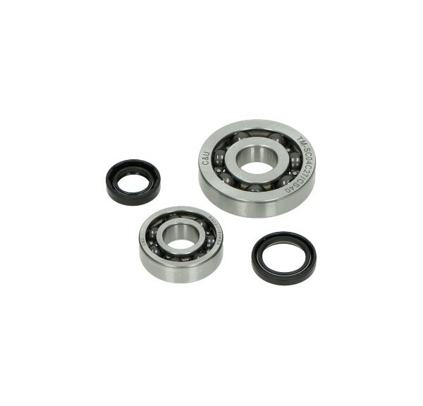 Lager+keerringset DMP krukas /4/5 A-kwaliteit — geschikt voor Piaggio I-get