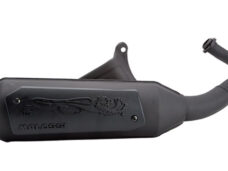 Uitlaat Malossi standaard model AC Wild Lion fly 2t