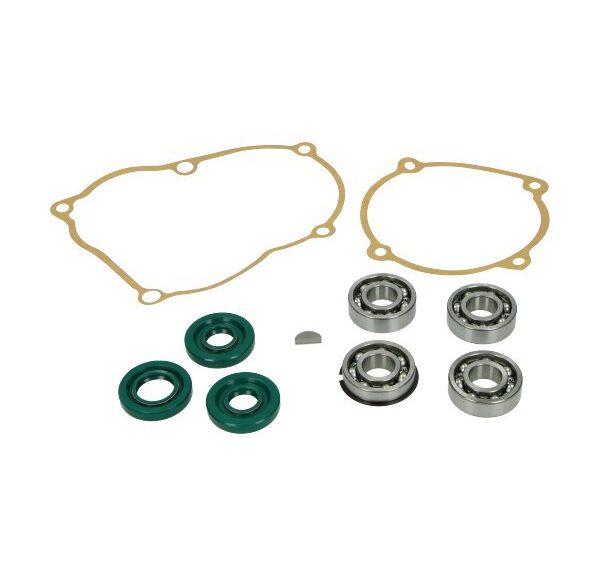 lager+keerringset DMP oud type complete motor 10-delig puch maxi