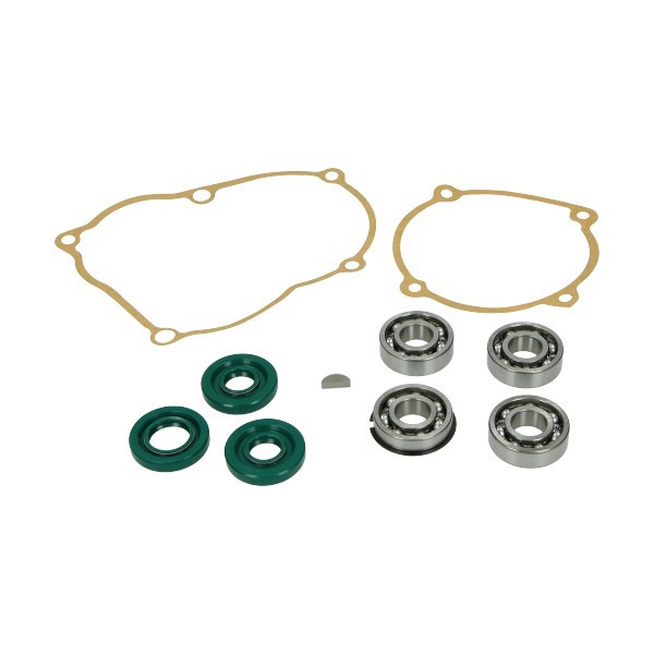 lager+keerringset DMP oud type complete motor 10-delig puch maxi