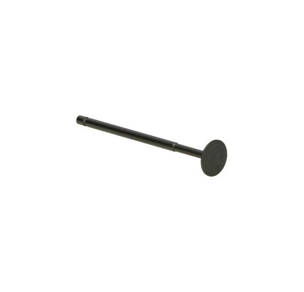 inlaatklep Piaggio origineel euro-4/5 3v liberty IGET