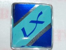 embleem Piaggio origineel voorspatbord vespa lx 4t-4v 656026