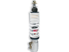 Schokbreker Malossi voorvork RS24 227mm voor GTS 250cc