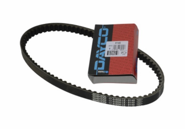 v-snaar dayco/pirelli cpi
