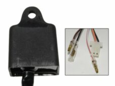 cdi-unit DMP bws