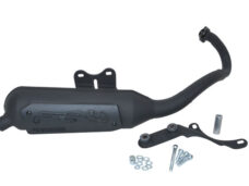 Uitlaat Malossi standaard model Wild Lion SR — geschikt voor Piaggio Blok