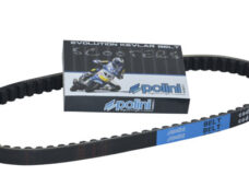 V-snaar Polini kevlar 750x16.2 minarelli hor+vert