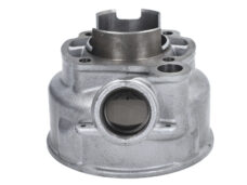Cilinder Met Kop Polini Big Bore 50mm Minarelli Am6 133.1009