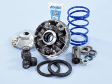 variokit polini + veer hi-speed evo 2 minarelli hor+vert 241.752