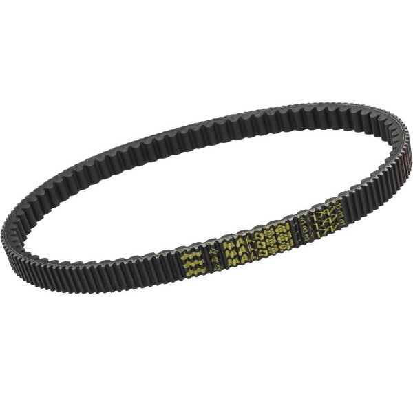 v-snaar malossi 822.5x23.4 gts 125cc