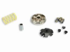 variokit malossi 100cc elyseo