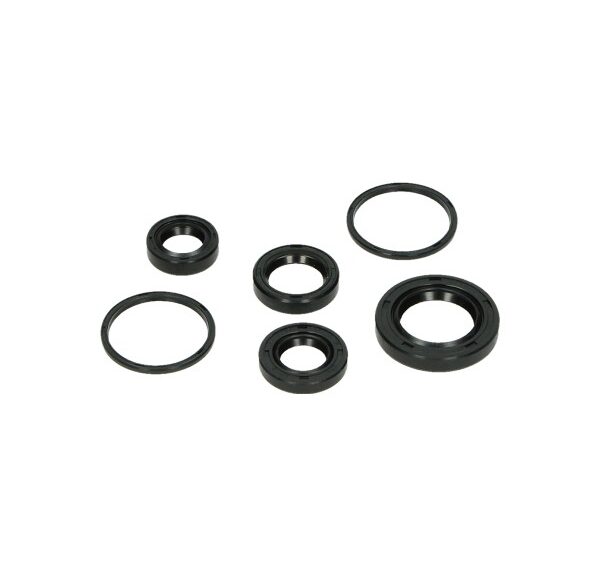 Keerringset DMP motorblok 6-delig buxy