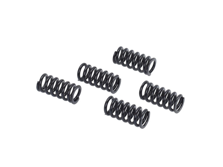 Koppelingdrukveer Newfren set 5pcs gsm