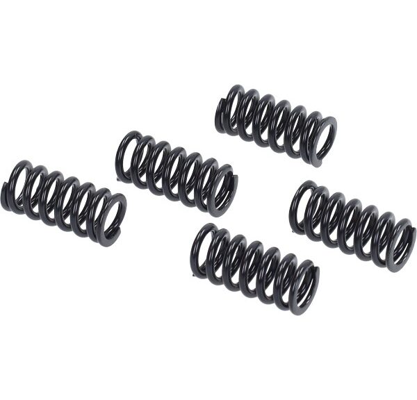 koppelingdrukveer newfren set 5pcs gsm