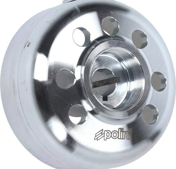 vliegwiel polini digitaal derbi d50b