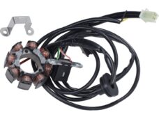 ontsteking polini digitaal derbi d50b