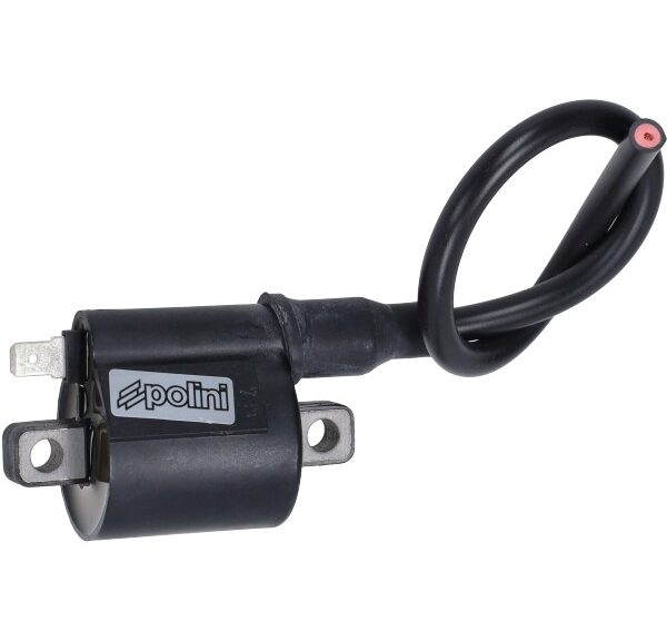 bobine polini digitaal derbi d50b