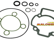 Pakking topset Malossi 47mm NRG MC3 purejet