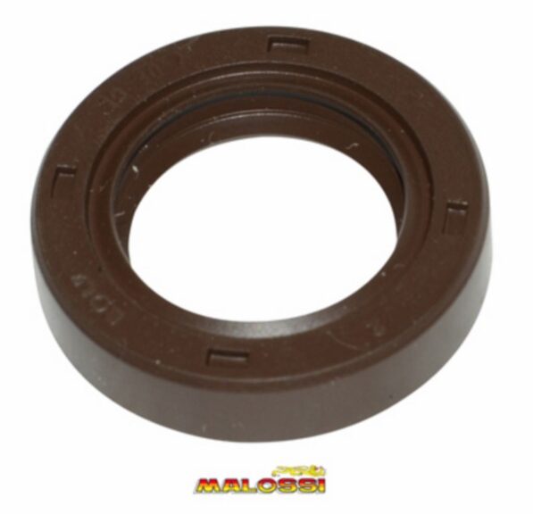 keerring malossi 19x30x7 669598b