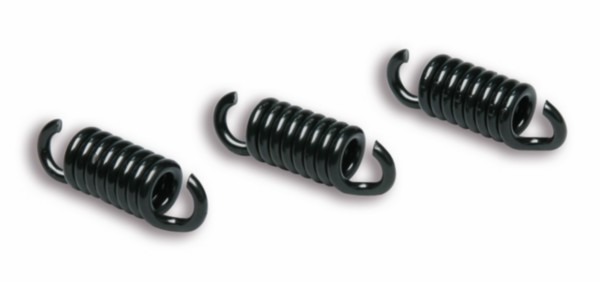 trekveer malossi koppeling delta clutch zwart runner 180cc 2t 2912049