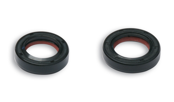 Keerringset Malossi krukas FKM/PTFE — geschikt voor Piaggio