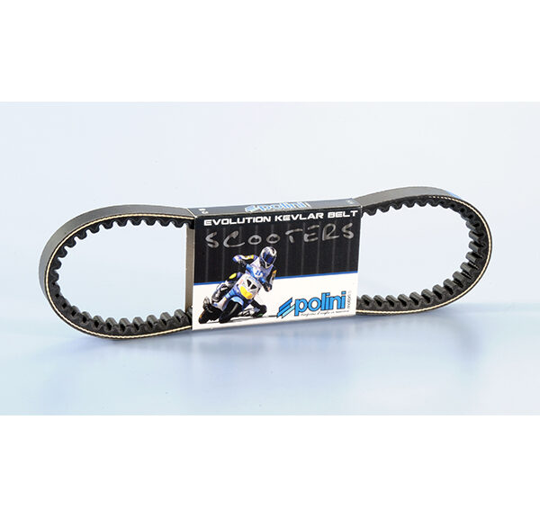 V-snaar Polini kevlar 800x16.5 lang overrange — geschikt voor Piaggio