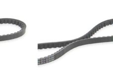 v-snaar malossi 765x18.5 euro 4/5 12inch primavera 4t-3v