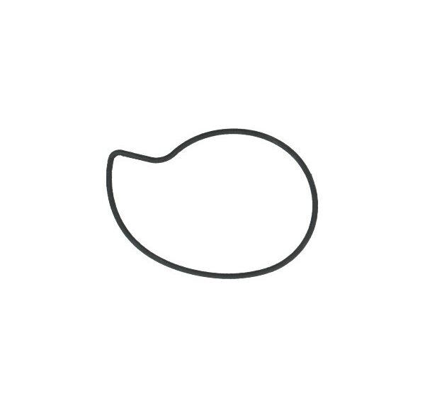 o-ring Piaggio origineel waterpomp carnaby