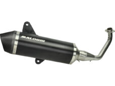 uitlaat malossi euro-5 rx 2021> zwart mat/carbon gts 300 HPE