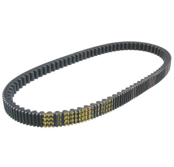 V-snaar Malossi 955x22.6 euro 3 geopolis