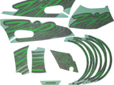 Stickerset Piaggio origineel — geschikt voor Piaggio Special Edition