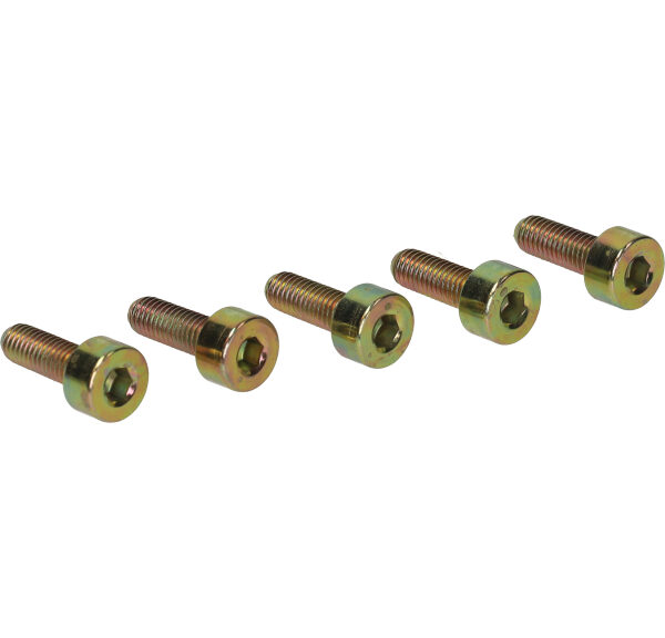 Boutset wielnaaf 5pcs maxi — geschikt voor Puch Maxi