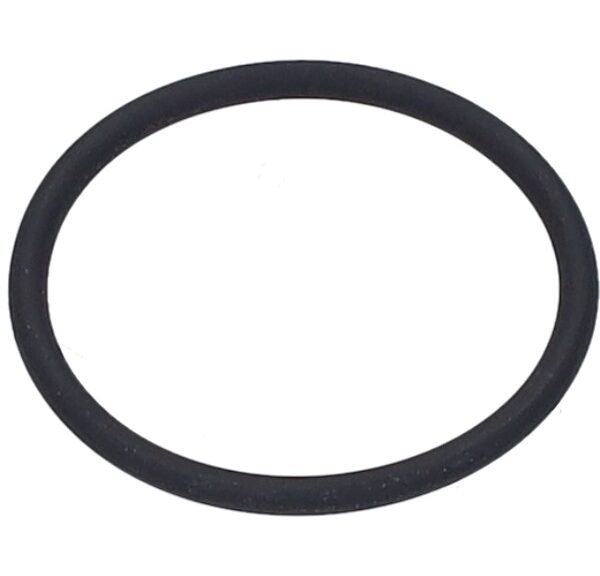 o-ring Piaggio origineel inlaat euro-2 fly