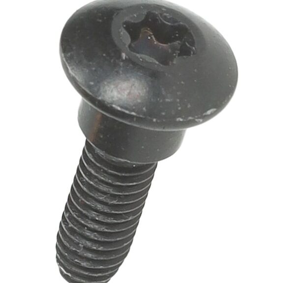 bout Piaggio origineel torx cilinderkop m6x22mm beverly