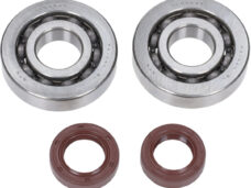Lager+keerringset Bgm Krukas 50cc Sco Piaggio 2t Bgm1100
